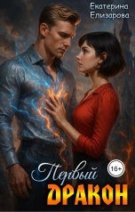 обложка книги Екатерина Елизарова "Первый дракон"