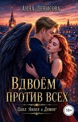 обложка книги Анна Денисова "Вдвоём против всех"