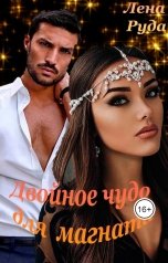 обложка книги Лена Руда "Двойное чудо для магната"