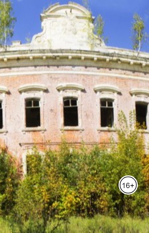 Обложка книги borshkowskaya Алькина любовь