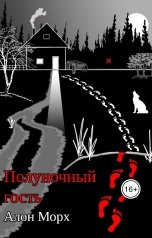 обложка книги Алон Морх "Полуночный гость"