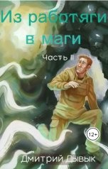 обложка книги Дмитрий Дывык "Из работяги в маги. Часть 2"