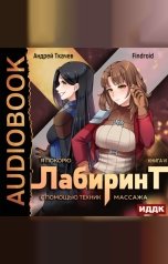 обложка книги Findroid "Я покорю Лабиринт с помощью техник массажа. Книга 6"