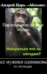 обложка книги Андрей   Абсолют, нет "Писательские ляпы и пёрлы"