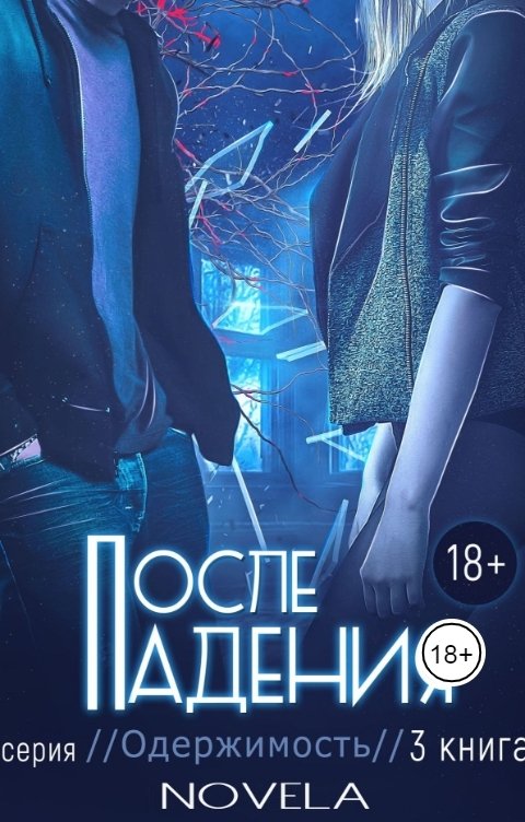 Обложка книги Novela После падения