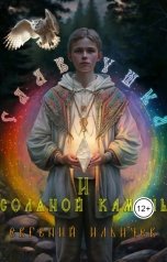 обложка книги Евгений Ильичев "Славушка и соляной камень"