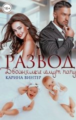 обложка книги Карина Винтер "Развод. Двойняшки ищут папу"