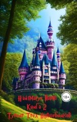 обложка книги Pavel Dein "Найтмарус Памп. Книга 2. Турнир Трех Волшебников."