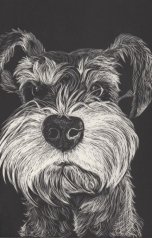 обложка книги VAKELI "Я, смотрящий"