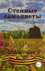 обложка книги Степные самоцветы "Альманах 2"