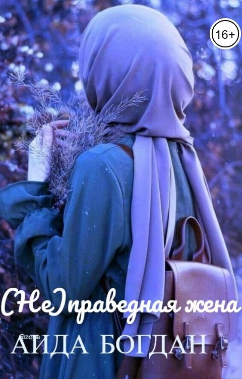 Обложка книги Aида Богдан (Не)праведная жена