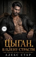 обложка книги Алекс Стар "Цыган. В плену страсти"