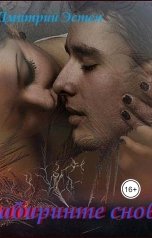 обложка книги Дмитрий Эстен "В лаберинте снов."