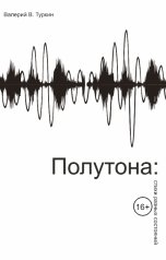 обложка книги Valery Turkin "Полутона: стихи разных состояний"