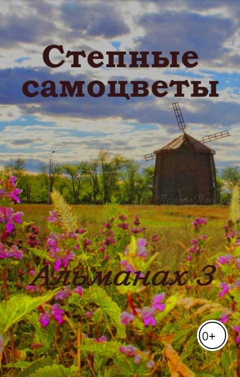 Обложка книги Степные самоцветы Альманах 3