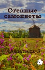 обложка книги Степные самоцветы "Альманах 3"