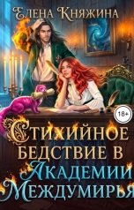 обложка книги Елена Княжина "Стихийное бедствие в Академии Междумирья"