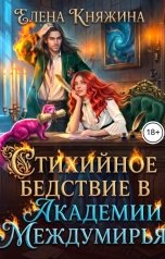 обложка книги Елена Княжина "Стихийное бедствие в Академии Междумирья"