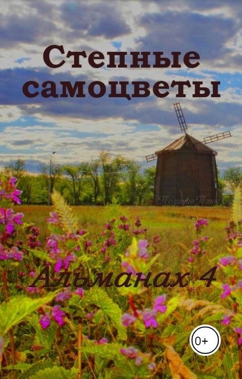 Обложка книги Степные самоцветы Альманах 4