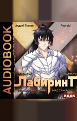 обложка книги Findroid "Я покорю Лабиринт с помощью техник массажа. Книга 7"