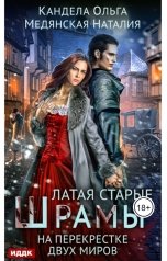 обложка книги Ольга Кандела, Наталия Медянская "Латая старые шрамы. Книга 2. На перекрестке миров"