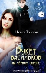 обложка книги Нюша Порохня "Букет васильков на чёрном пороге"