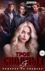обложка книги ДОМИНАТРИКС "Трое сводных и я. Подарок на свадьбу"