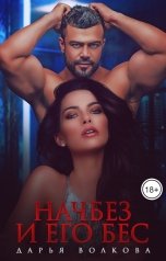 обложка книги Дарья Волкова "Начбез и его Бес"