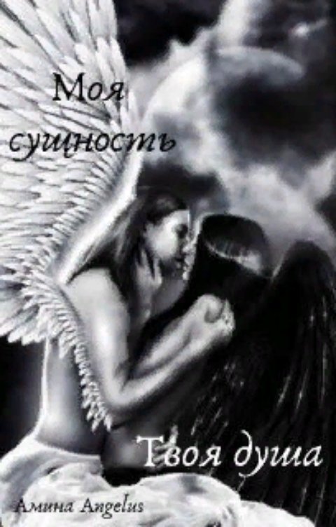Обложка книги Амина Angelus Моя сущность. Твоя душа