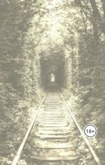 обложка книги Петр Добрянский "Следующая станция"