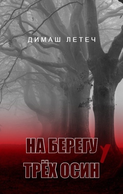 Обложка книги Димаш Летеч На берегу у трёх осин