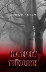 обложка книги Димаш Летеч "На берегу у трёх осин"