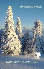 обложка книги Япрынцев Юрий "Коробка с волчонком"