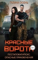 обложка книги Галина Осень "Красные ворота"