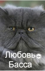 обложка книги obzhogin83 "Любовь Басса"