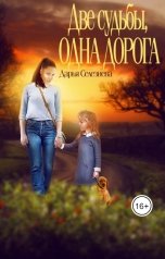 обложка книги Darya Selezneva "Две судьбы, одна дорога"