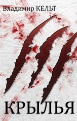 обложка книги Владимир Кельт "Крылья"