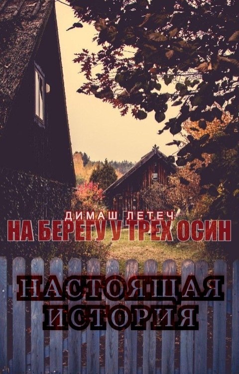 Обложка книги Димаш Летеч На берегу у трёх осин: Настоящая история