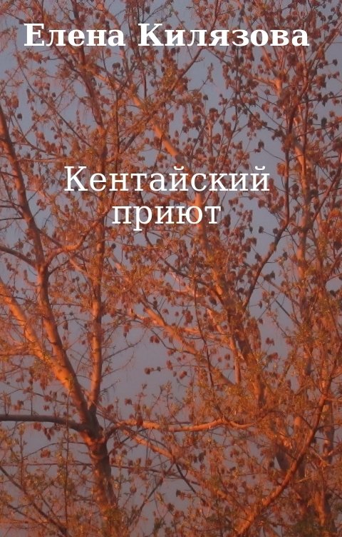 Обложка книги Е. К. Кентайский приют