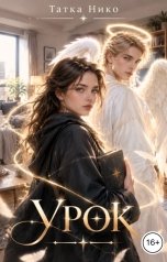обложка книги Татка Нико "Урок"