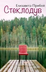 обложка книги Елизавета Прибой "Стеклодув"