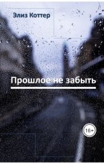 обложка книги Элиз Коттер "Прошлое не забыть"