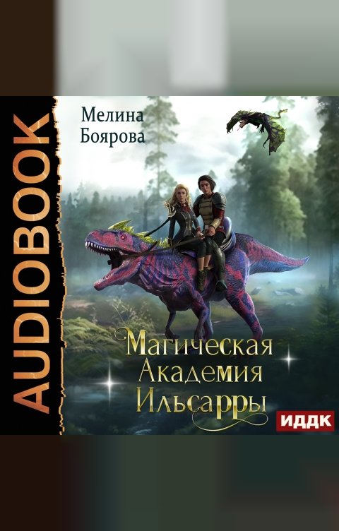 Обложка книги ИДДК Магическая академия Ильсарры