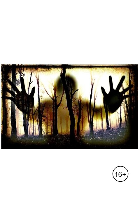 Обложка книги denisiodk Абсолютно странная, и не совсем правдивая история