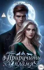 обложка книги Элиза Маар "Приручить пламя"