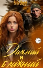 обложка книги Вийя Шефф "Дальний и Ближний"