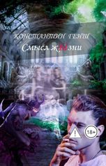 обложка книги Константин Генш "Смысл жЫзни"