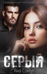 обложка книги Яна Сокол "Серый"