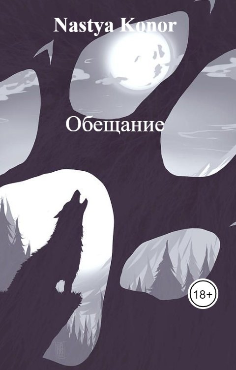 Обложка книги Nastya Konor Обещание