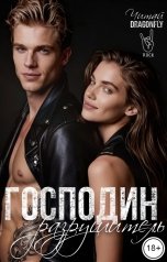 обложка книги Читай DRAGONFLY "Господин Разрушитель"